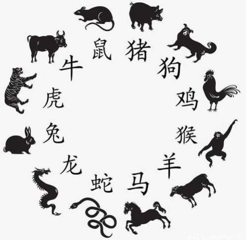 毛骨悚然打一个正确的生肖，权威解释在此落实